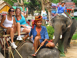 Koh Phangan Elephant Trekking