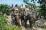 Elephant Trekking - Just outside Chaloklum you can enjoy an elephant ride through Koh Phangan's jungle.