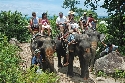 Koh Phangan Elephant Trekking